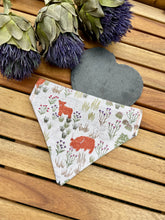 Load image into Gallery viewer, Castle’s &amp; Coo’s - Pet Bandanas
