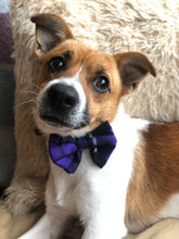 Load image into Gallery viewer, Thistle do nicely Purple tartan bow tie
