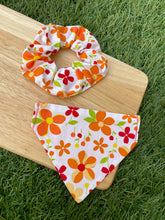 Load image into Gallery viewer, Blooming Lovely Bright Orange Flower - Pet Bandana &amp; Matching Scrunchie
