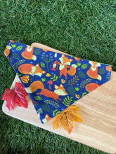Load image into Gallery viewer, Who’s Looking Like a FOX? -  Pet Bandanas &amp; Matching Scrunchies
