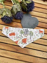 Load image into Gallery viewer, Castle’s &amp; Coo’s - Pet Bandanas
